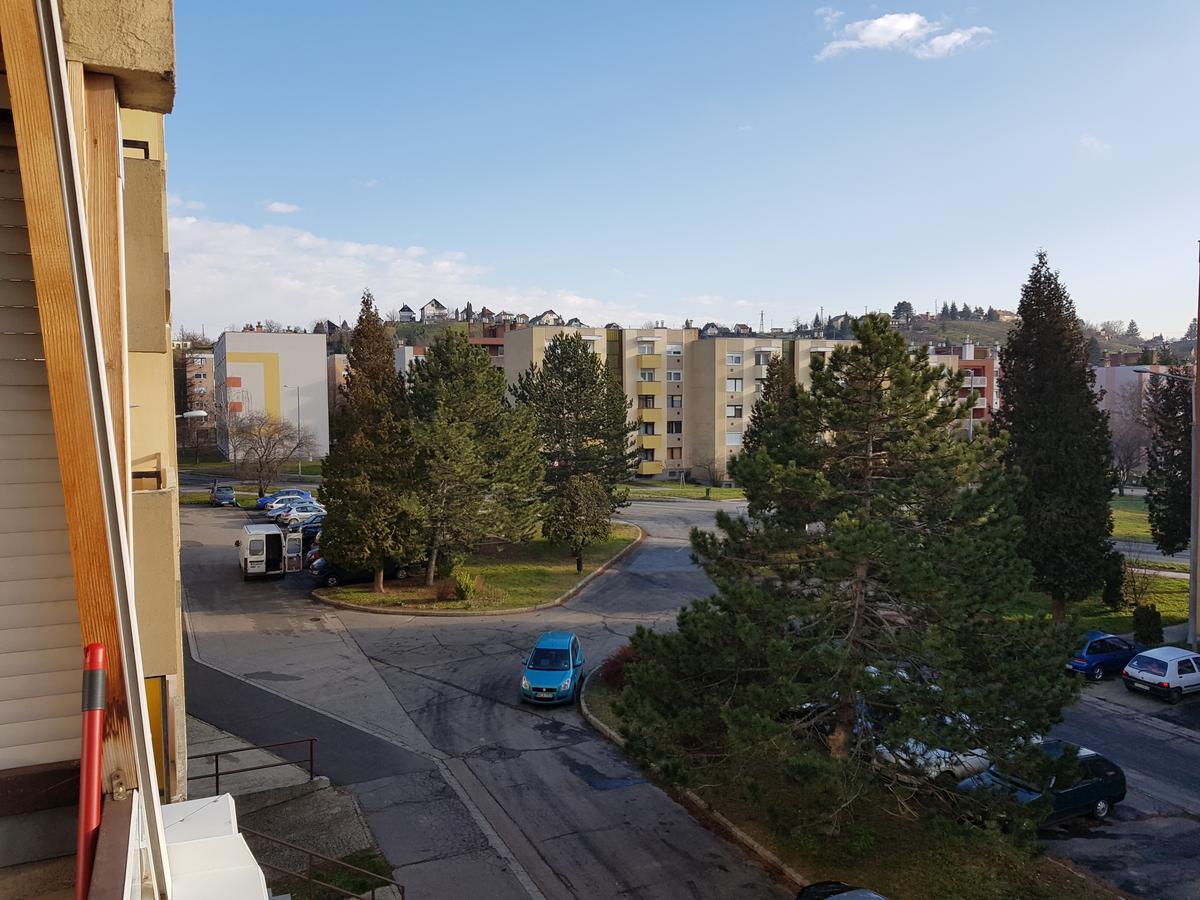 Hegyalja Apartman زالاجيرسيج المظهر الخارجي الصورة